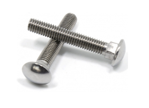 Carriage screw